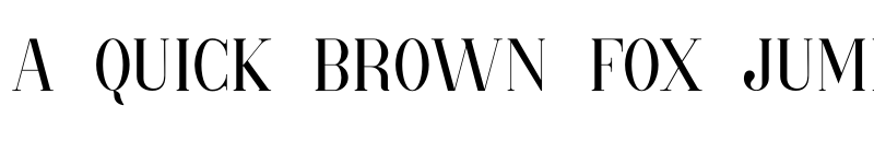 Preview of Pati Demo font