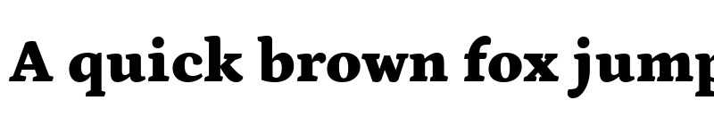 Preview of Petrona Black font