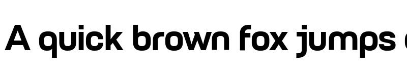 Preview of Petrov Sans Bold font