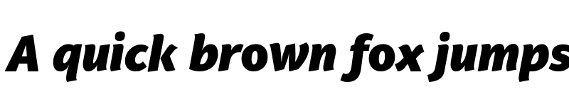 Preview of PF Adamant Sans Pro Black Italic font