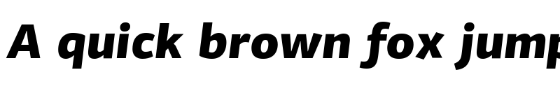 Preview of PF Agora Sans Pro Black Italic font