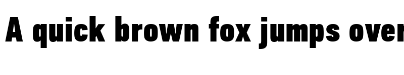 Preview of PF Din Text Comp Pro Extra Black font