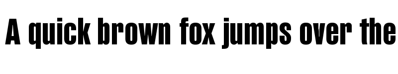 Preview of PF Fusion Sans Pro Heavy font