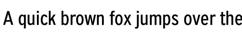 Preview of PF Grand Gothik Condensed Regular font