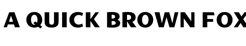 Preview of Philips Display Bold font