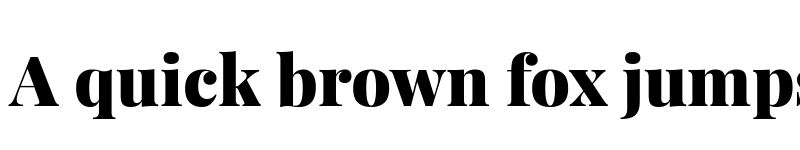 Preview of Playfair Display Black Regular font