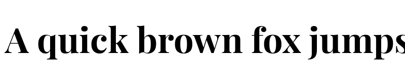 Preview of Playfair Display Bold font