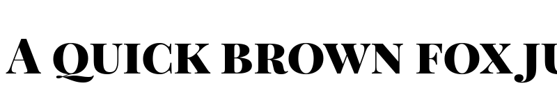 Preview of Playfair Display SC Black font