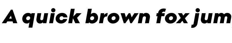 Preview of Point Black Italic font