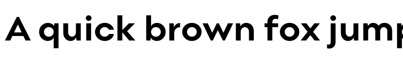 Preview of Point Bold font