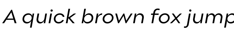 Preview of Point Book Italic font