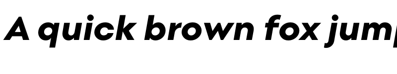 Preview of Point Extra Bold Italic font