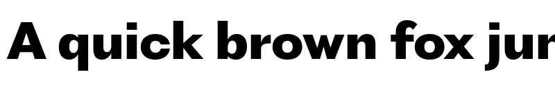 Preview of PP Fragment Sans ExtraBold font