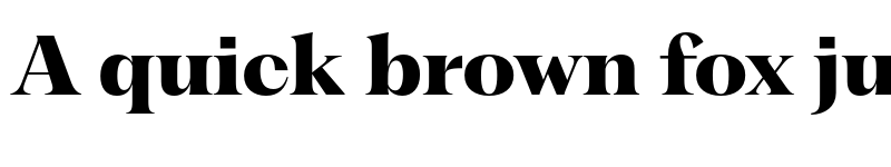 Preview of PP Fragment Serif ExtraBold font