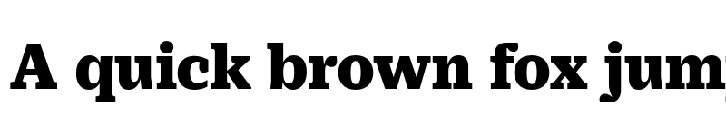 Preview of Practical Serif Black font