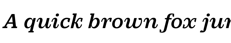 Preview of Practical Serif Bold Italic font