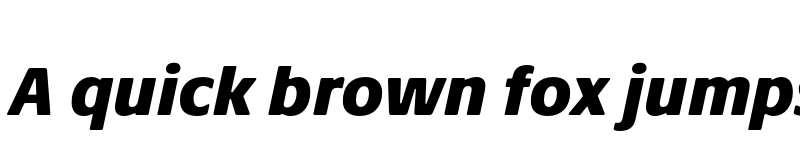 Preview of Praxis Next Black Italic font