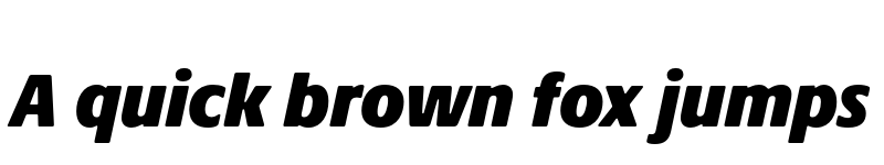 Preview of Praxis Next ExtraBlack Condensed Italic font