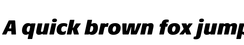 Preview of Praxis Next ExtraBlack Italic font