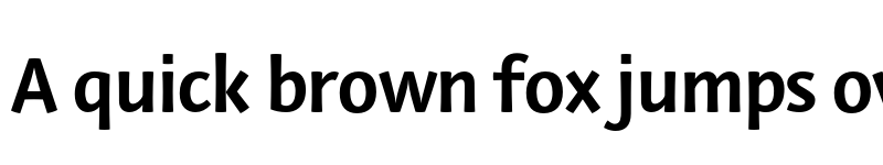 Preview of Private Sans Bold font