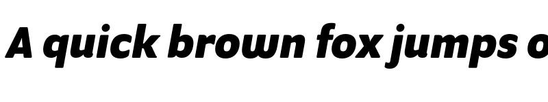 Preview of Program OT Bold Italic font