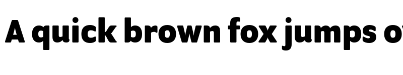 Preview of Program OT Bold font