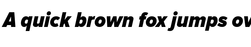 Preview of Proxima Nova Condensed Black Italic font