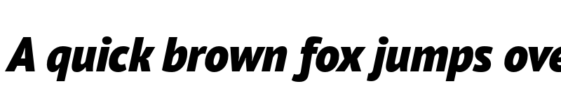 Preview of PT Sans Pro Black Italic font