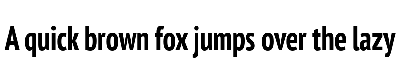 Preview of PT Sans Pro Condensed Bold font