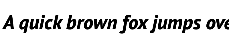 Preview of PT Sans Pro Extra Bold Italic font