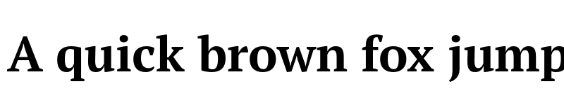 Preview of PT Serif Pro Bold font