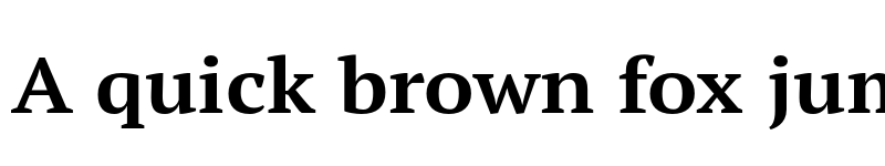 Preview of PT Serif Pro Extended Bold font