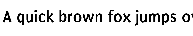 Preview of Puritan Bold font