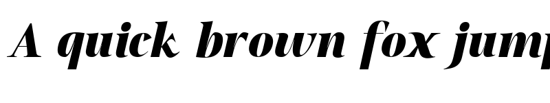 Preview of Qia Display Black Italic font