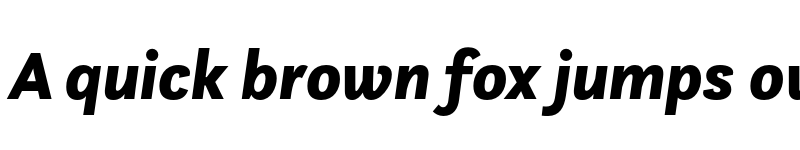 Preview of Questa Sans Black Italic font