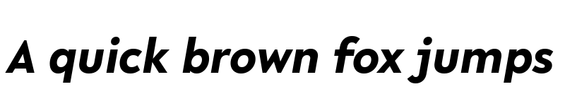 Preview of R-Flex Bold Italic font