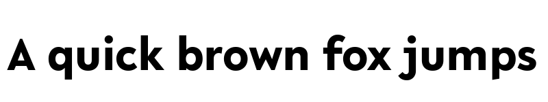 Preview of R-Flex Bold font