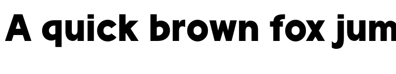 Preview of Racoti Personal Use Black font