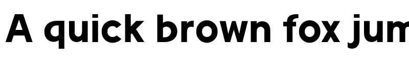 Preview of Racoti Personal Use Bold font