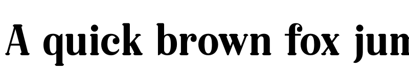 Preview of Raillinc Regular font