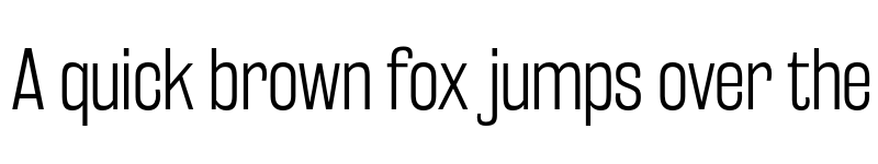 Preview of Rakesly Light font