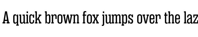 Preview of Rama Slab E Regular font