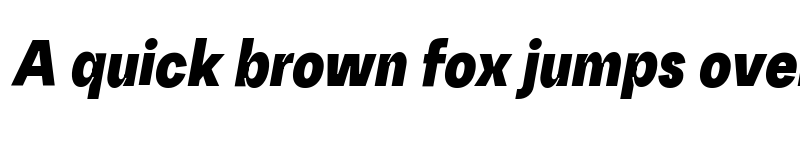 Preview of Random Grotesque Slim Black SlimBlackItalic font