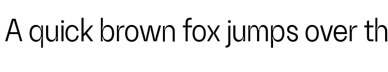Preview of Random Grotesque Slim Book SlimBook font
