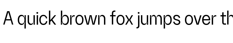 Preview of Random Grotesque Slim SlimRegular font