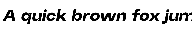 Preview of Random Grotesque Spacious Black SpaciousBlackIt font