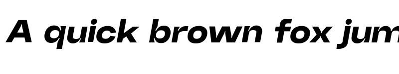 Preview of Random Grotesque Spacious Black SpaciousBlackItalic font