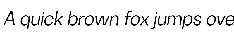 Preview of Random Grotesque Standard Book StandardBookItalic font