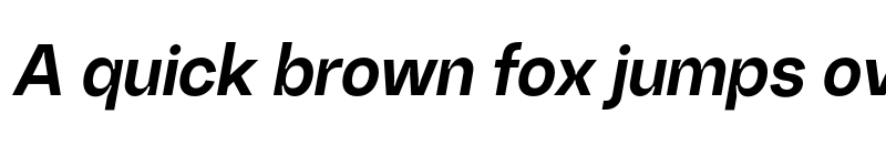 Preview of Random Grotesque Standard StandardBoldIt font