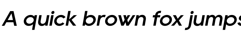 Preview of Rany Medium Italic font